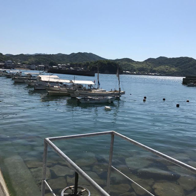 廣島景點 - 大久野島兔島