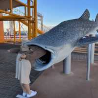 ［大阪］海游館打卡行程攻略🦈