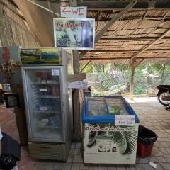 Mekong張用戶圖片