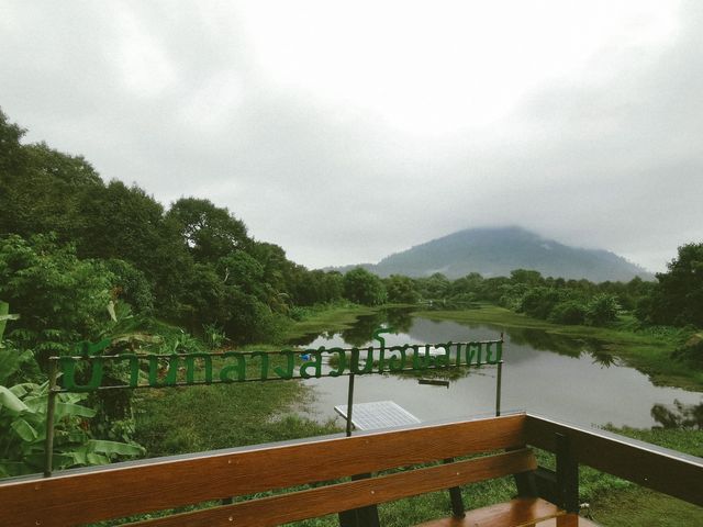 ดื่มด่ำกับธรรมชาติได้ที่ "บ้านกลางสวน โฮมสเตย์"