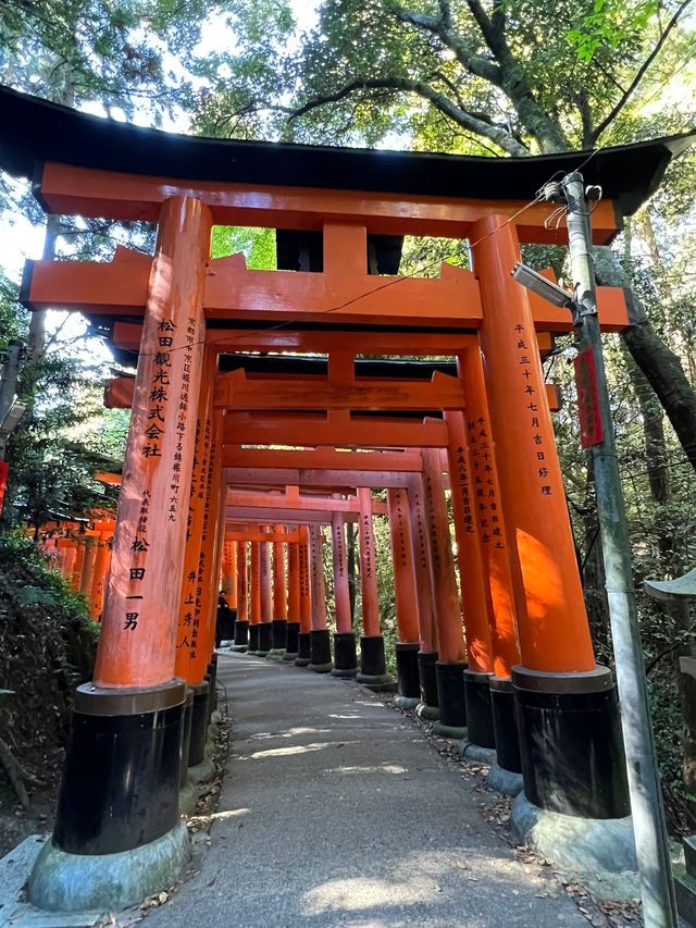 京都必到紅色千鳥居@伏見稻荷大社