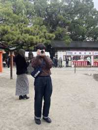 아름다운 신사 스미요시⛩