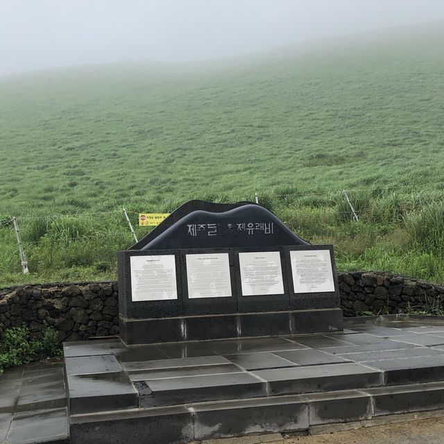 새별오름, 나홀로나무