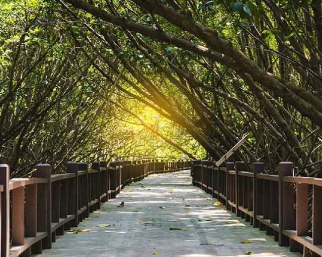 วนอุทยานปราณบุรี☘️🌳