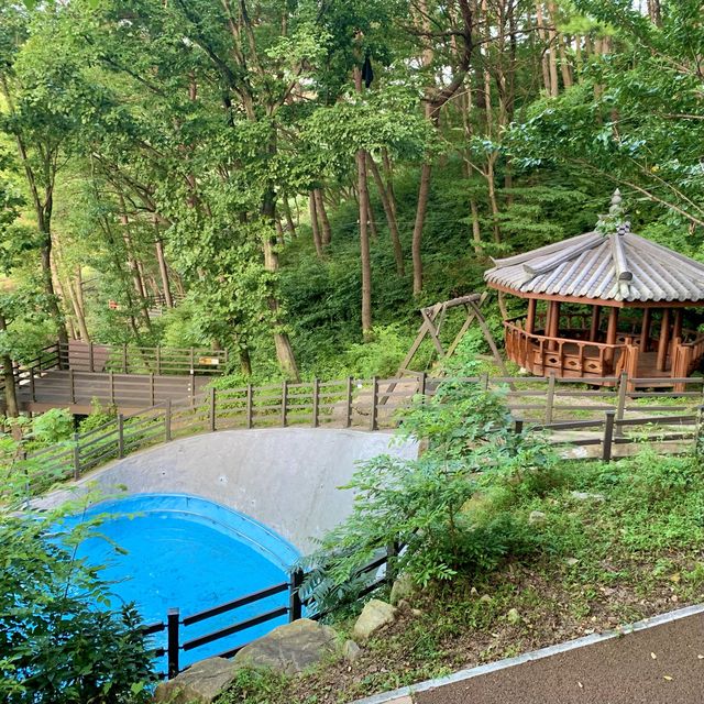 [🇰🇷, 김해] 🏕 신어산자연숲캠핑장 - 들4동 🏕
