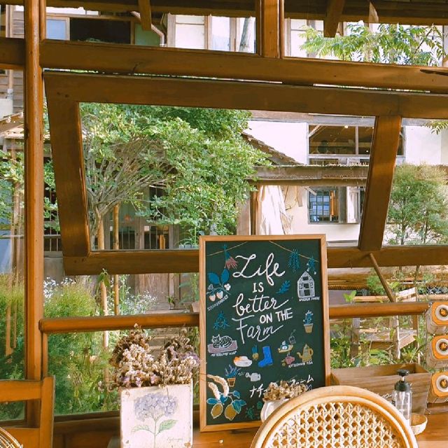 Mori natural farm Cafe