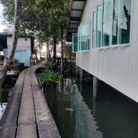 สะพานแดง ชมป่าชายเลน