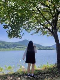 부산 봄맞이 여행명소 “금정 회동호 둘레길” 🌸