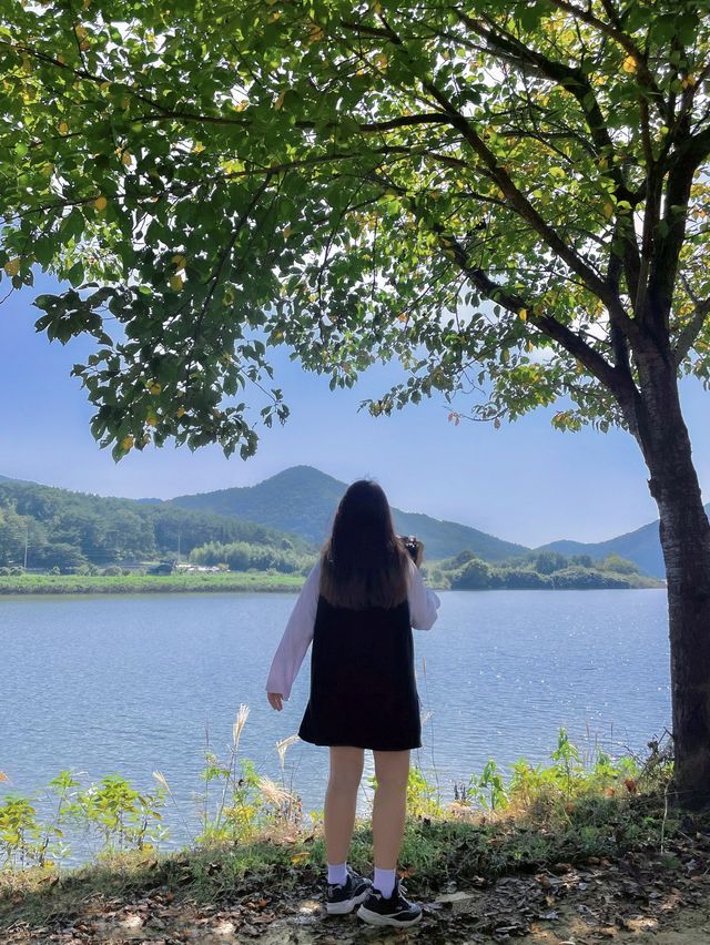 부산 봄맞이 여행명소 “금정 회동호 둘레길” 🌸