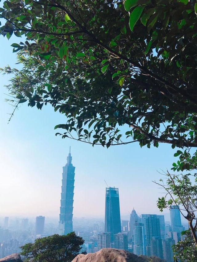 台北101景☀️可愛的象山步道🐘🐾運動運動