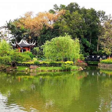 北區公園都可以影得好靚