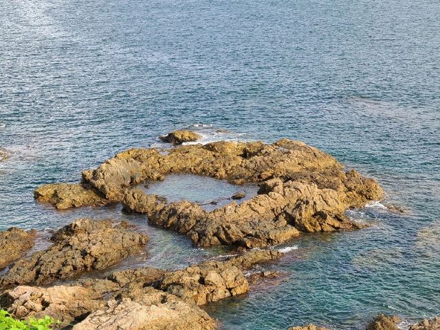 港版加勒比🏝️