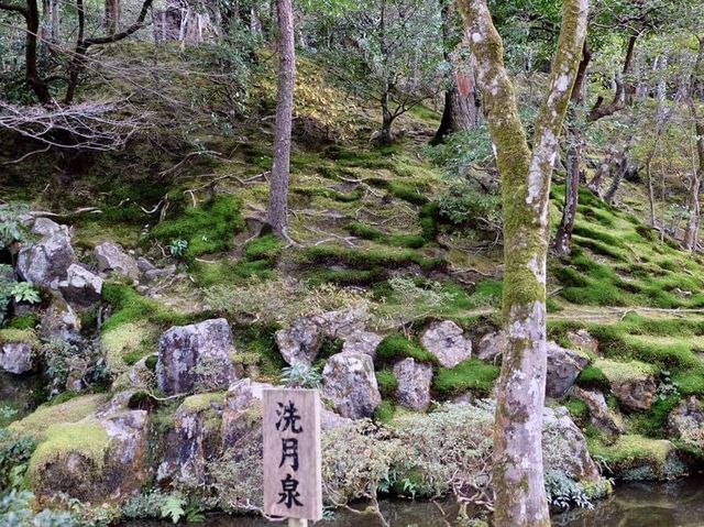 東京的世界文化遺產👉🏻👉🏻銀閣寺