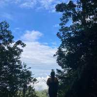 1.5hr steep trail to 654M ⛰️
