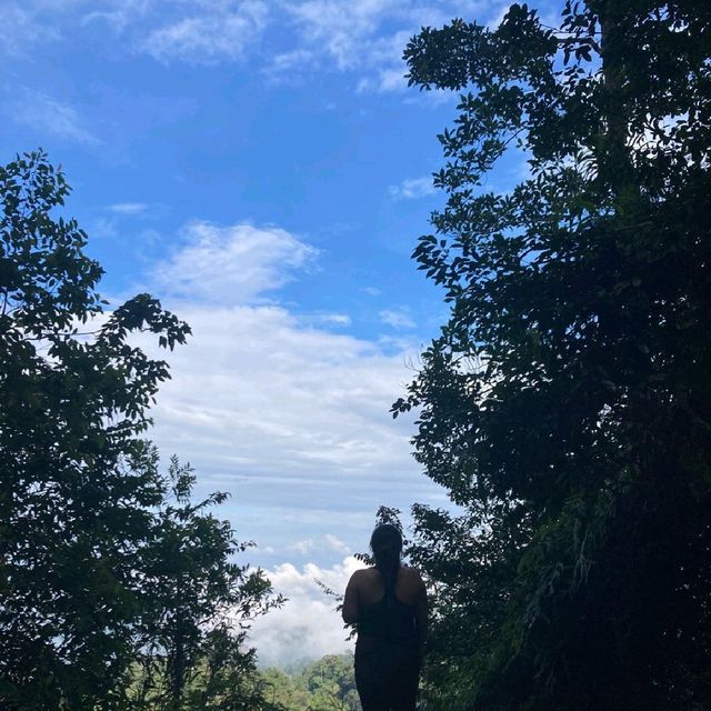 1.5hr steep trail to 654M ⛰️