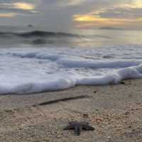 One night stay at Tok Aman Bali Beach Resort