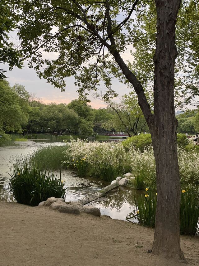 서울에서 자연을 눈에 담을 수 있는 ‘서울숲’ 🌳🌷✨