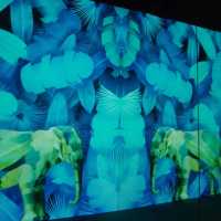 沉浸式數碼藝術博物館 ARTE M 登陸香港
