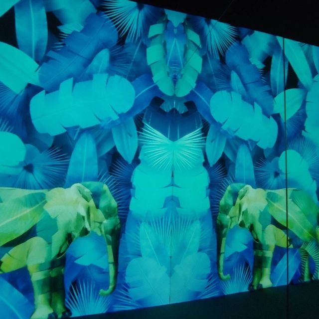 沉浸式數碼藝術博物館 ARTE M 登陸香港