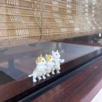 元朗日系cafe✨
