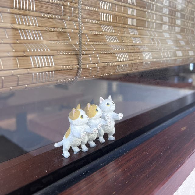 元朗日系cafe✨