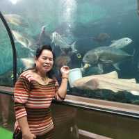 อควาเรียม ภูเก็ต