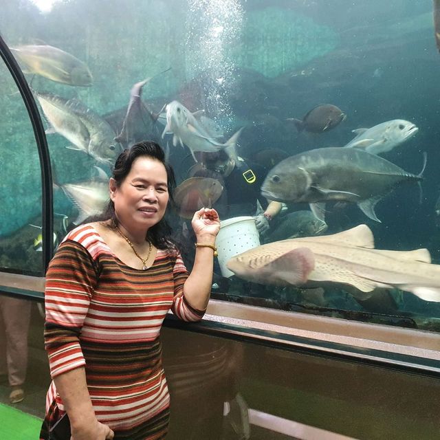 อควาเรียม ภูเก็ต
