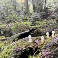 もののけ姫の舞台　苔むす森へ