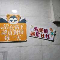 真材實料，養生之選