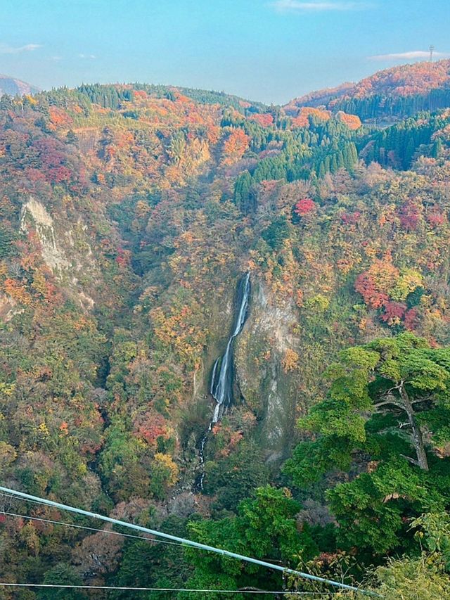 大分の紅葉🍁