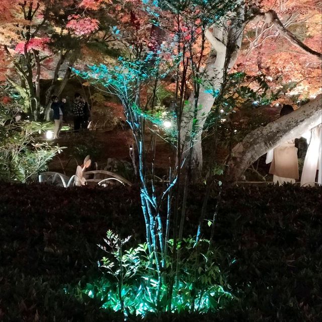 嵐山宝厳院ライトアップ