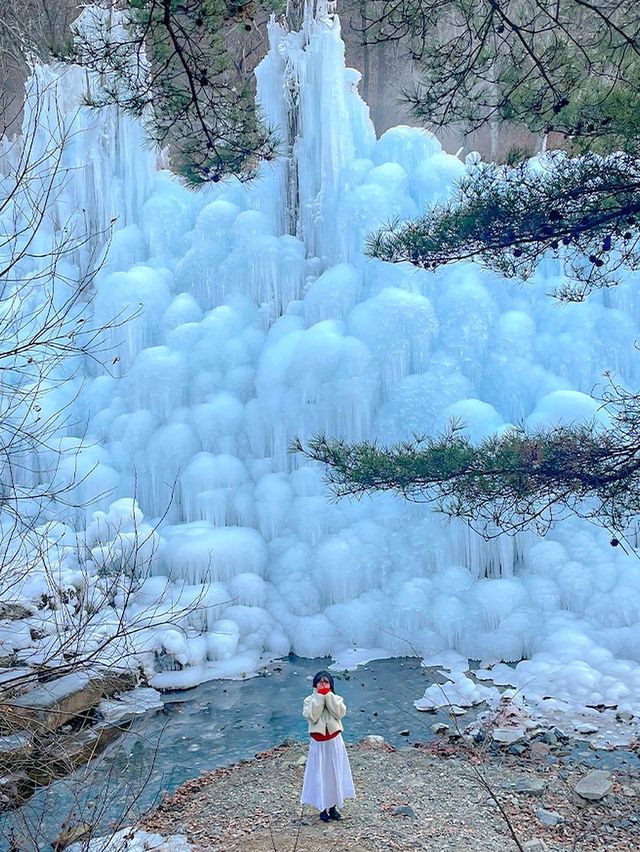 대구판 겨울왕국 ❄️👑