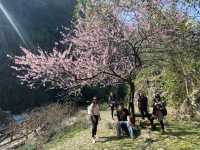 Shenlixia Scenic Area - SPRING TIME