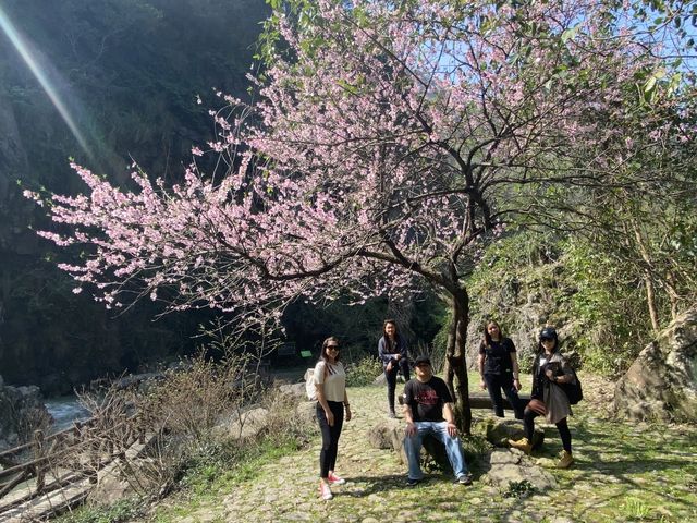 Shenlixia Scenic Area - SPRING TIME
