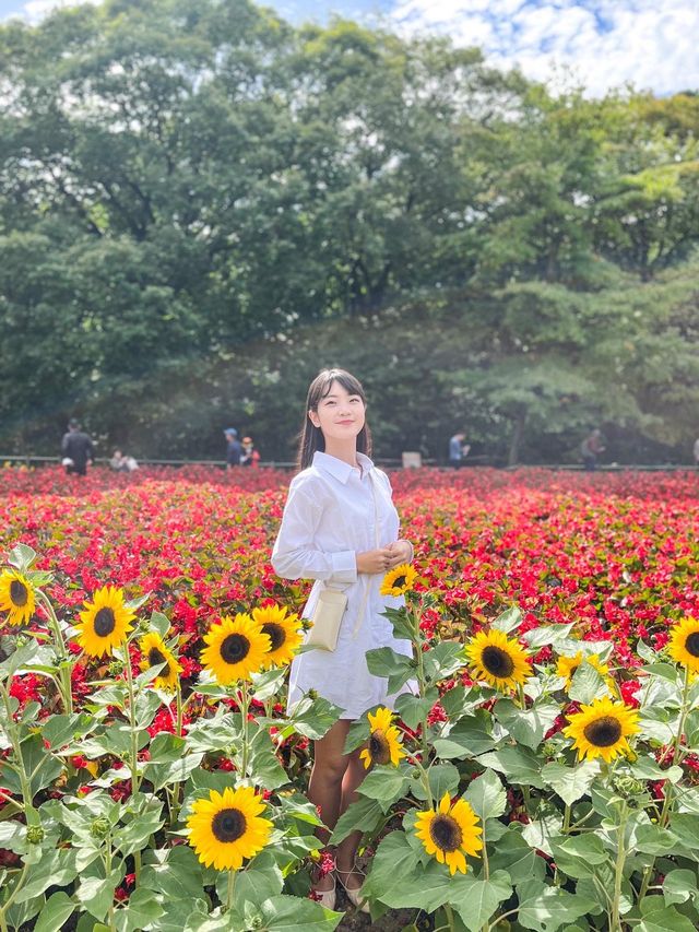 꽃잔치가 열린 상림공원💜