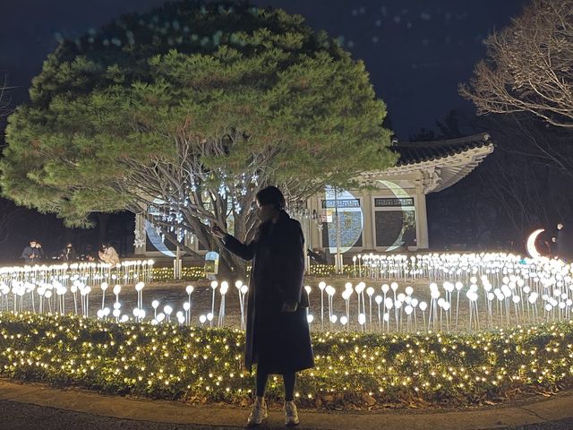 고양시 야경 명소 행주산성❤️