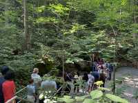 Domes and Dripstone Tour - Mammoth Cave