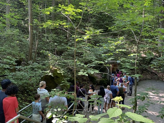 Domes and Dripstone Tour - Mammoth Cave