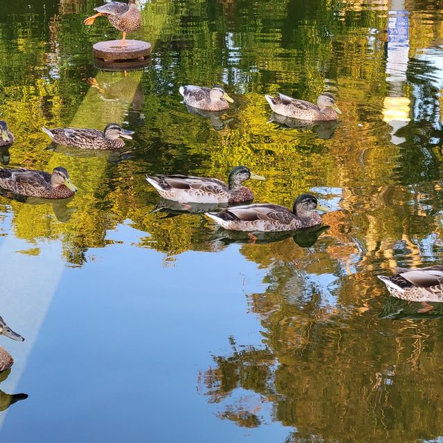 聖地亞哥 巴爾波公園