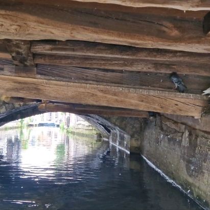 Punting in Canterbury