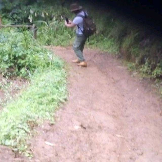 day trip to Materuni waterfall and coffee tou