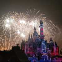 Shanghai Disneyland Fun