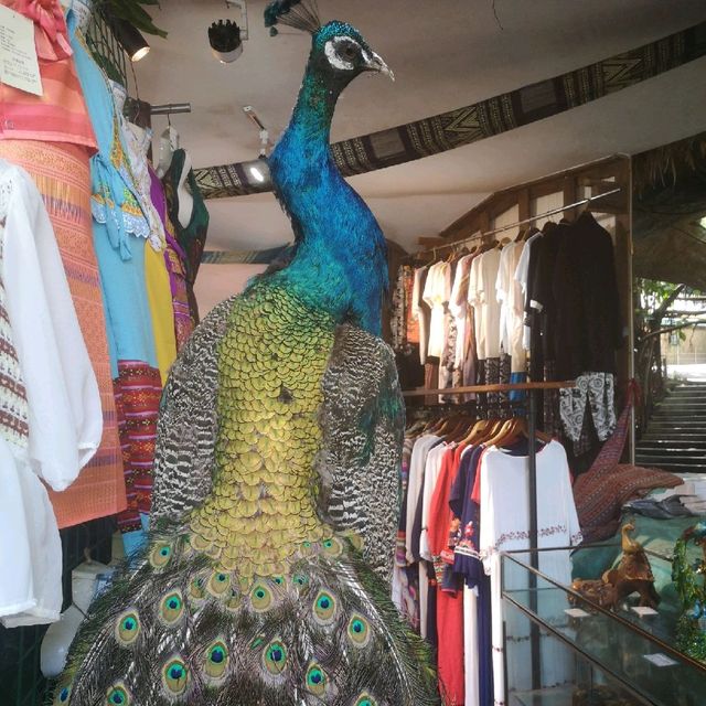 Peacock lake performance 