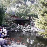 400+ Year Old Yu-Garden in Shanghai