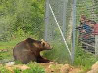 挪威北極動物園