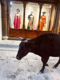 Yak Yoghurt in DuKeZong