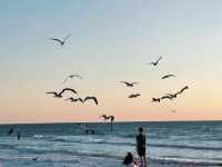 The most beautiful white sand beach in America - Clearwater.