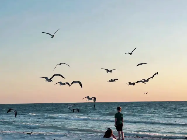 The most beautiful white sand beach in America - Clearwater.