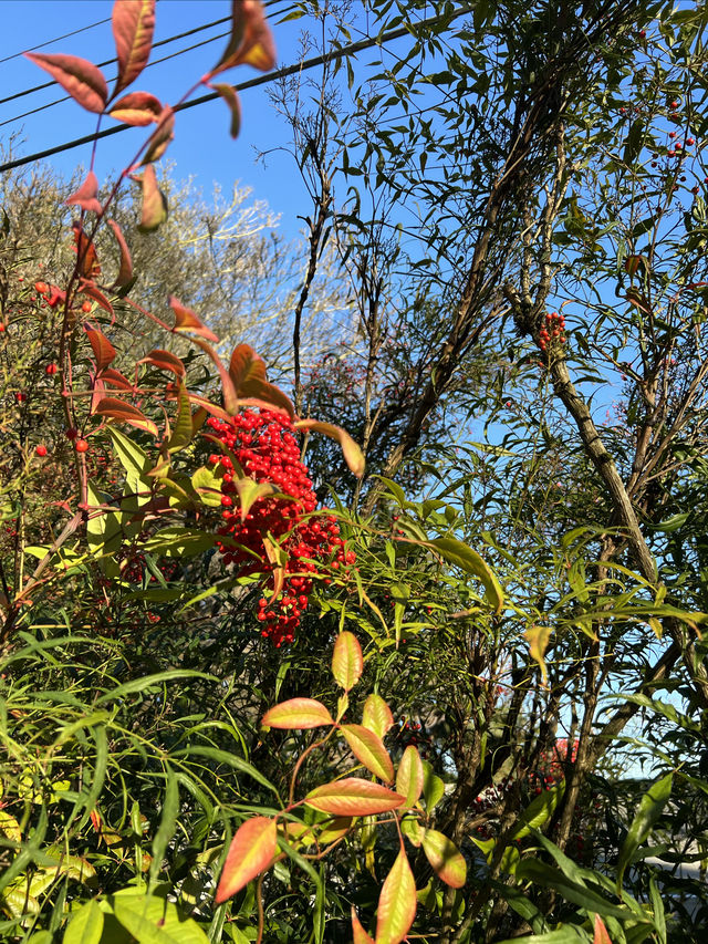 Colorful winter - Seattle