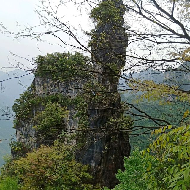 Hubei Yichang Wufeng Tujia Autonomous County Chaibuxi | Chabuxi, a picturesque canyon with three thousand peculiar peaks